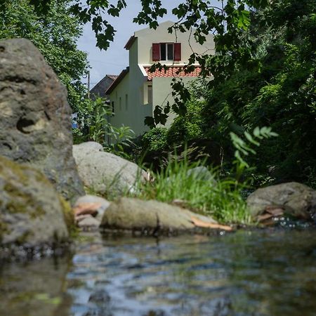 Вилла Casa Da Ribeira Dos Moinhos Рибейра-Гранди Экстерьер фото